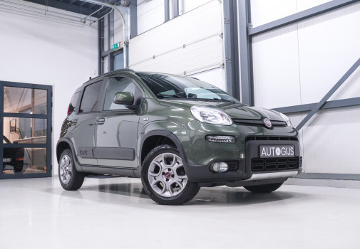 foto Fiat Panda 0.9 TwinAir 4x4 Climbing 2015